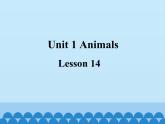 清华大学版小学英语一年级上册  UNIT 2   ANIMALS Lesson 14   课件