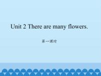 湘鲁版四年级下册Unit 2 There are many flowers.Section A教学ppt课件