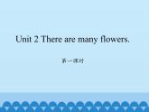 湘鲁版（三年级起点）小学英语四年级下册  Unit 2 There are many flowers.  课件