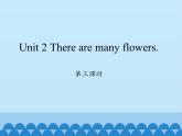 湘鲁版（三年级起点）小学英语四年级下册  Unit 2 There are many flowers.  课件2