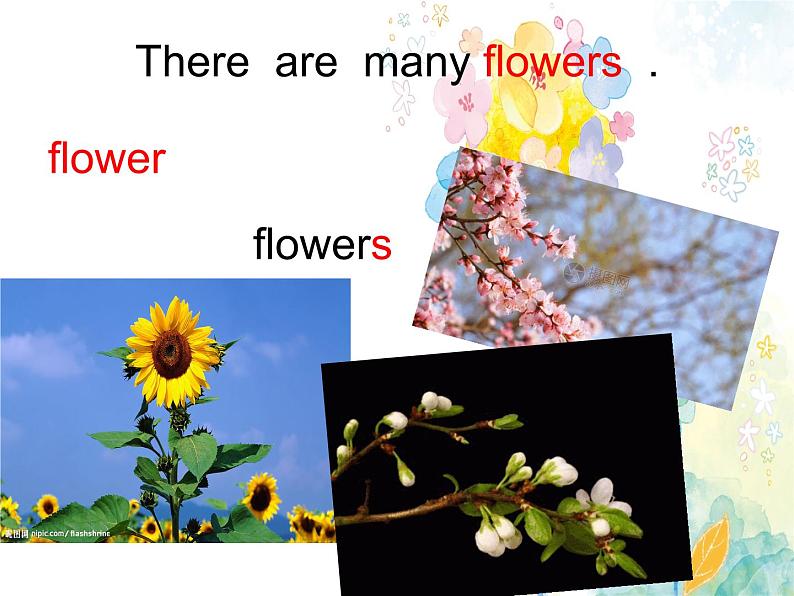 湘鲁版（三年级起点）小学英语四年级下册  Unit 2 There are many flowers.  课件303