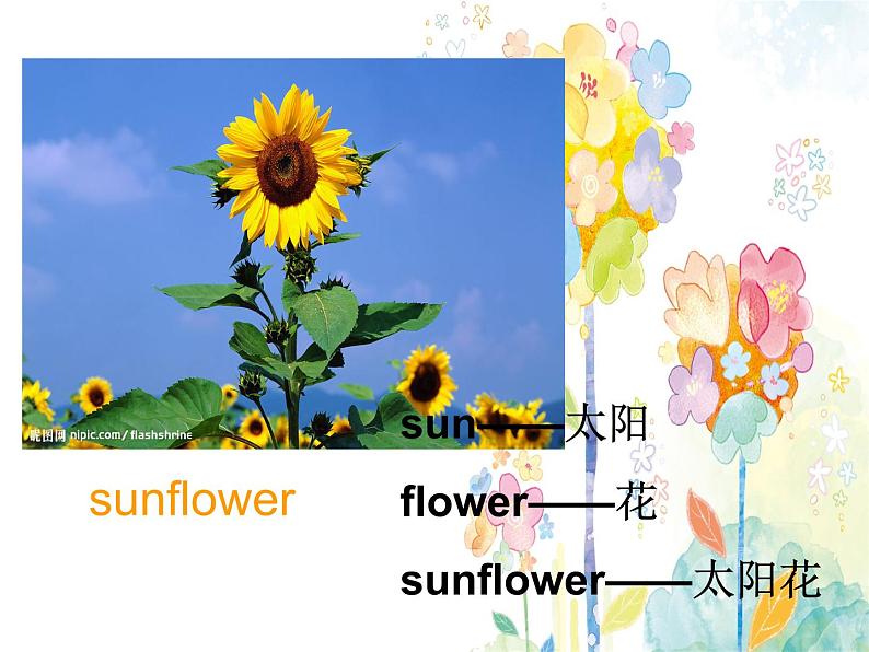 湘鲁版（三年级起点）小学英语四年级下册  Unit 2 There are many flowers.  课件305