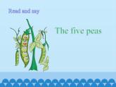 沪教版（六三制三起）小学六年级英语下册 Module 4 Unit  12  The five peas  课件1