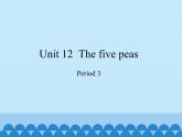沪教版（六三制三起）小学六年级英语下册 Module 4 Unit  12  The five peas  课件2