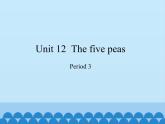 沪教版（六三制三起）小学六年级英语下册 Module 4 Unit  12  The five peas  课件2