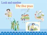 沪教版（六三制三起）小学六年级英语下册 Module 4 Unit  12  The five peas  课件2