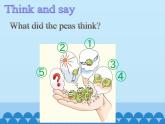 沪教版（六三制三起）小学六年级英语下册 Module 4 Unit  12  The five peas  课件2