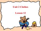 清华大学版小学英语二年级上册  UNIT 2 CLOTHES LESSON 12   课件