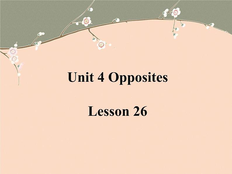 清华大学版小学英语二年级上册  UNIT 4 OPPOSITES LESSON 26   课件01