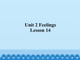 清华大学版小学英语二年级下册  UNIT 2 FEELINGS LESSON 14    课件