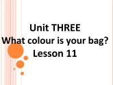 北京版小学一年级英语下册  UNIT THREE Lesson 11   课件2