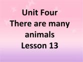 北京版小学二年级英语上册  Unit FourThere are many animalsLesson 13   课件