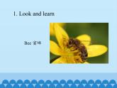 清华大学版小学英语三年级上册  UNIT 1THE   Lesson 2  课件