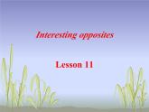 清华大学版小学英语三年级下册  UNIT 2 INTERESTING OPPOSITES-LESSON 11  课件