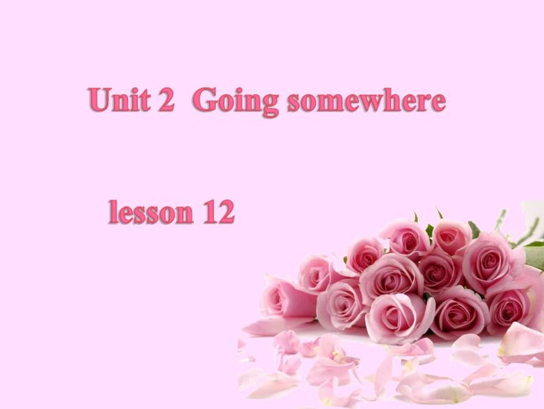 清华大学版小学英语四年级下册  UNIT 2 GOING SOMEWHERE-LESSON 12   课件01