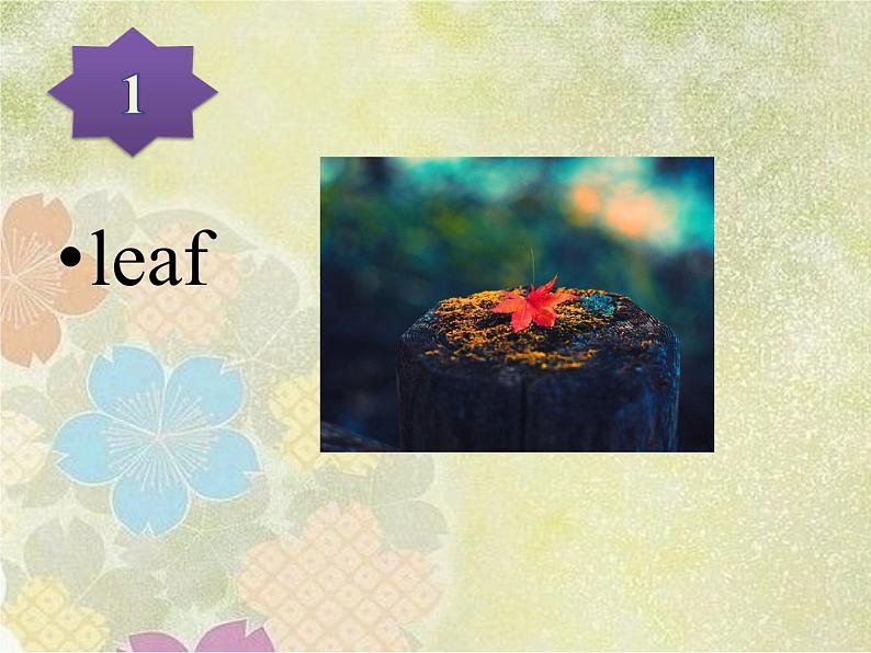 清华大学版小学英语五年级上册   UNIT 3 LITTLE ELLEN'S DIARY-lesson 20   课件04