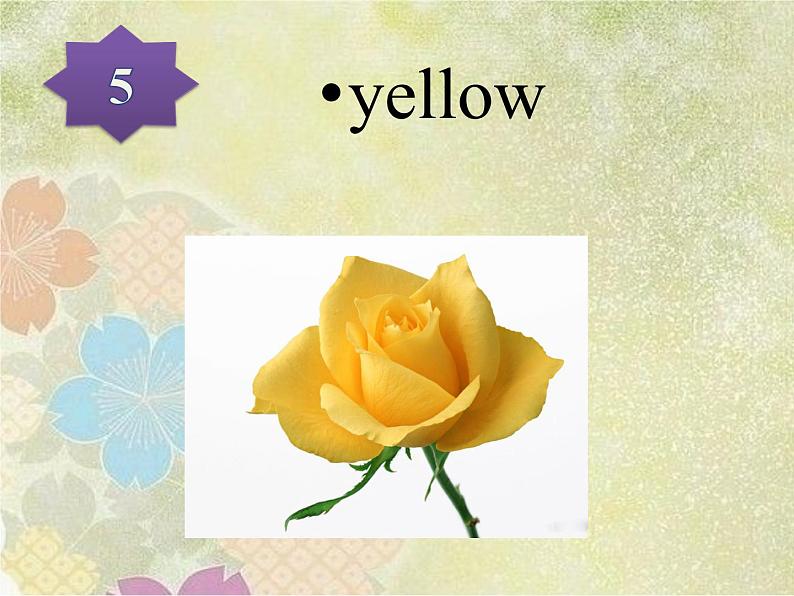 清华大学版小学英语五年级上册   UNIT 3 LITTLE ELLEN'S DIARY-lesson 20   课件08