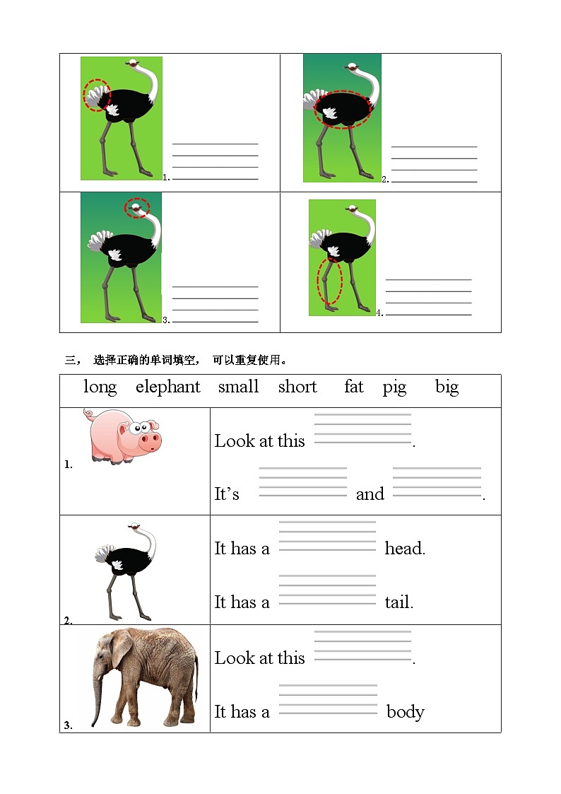 部编版PEP三年级下册 Unit 3 At the zoo PB let's learn 课件+教案+练习+动画素材02