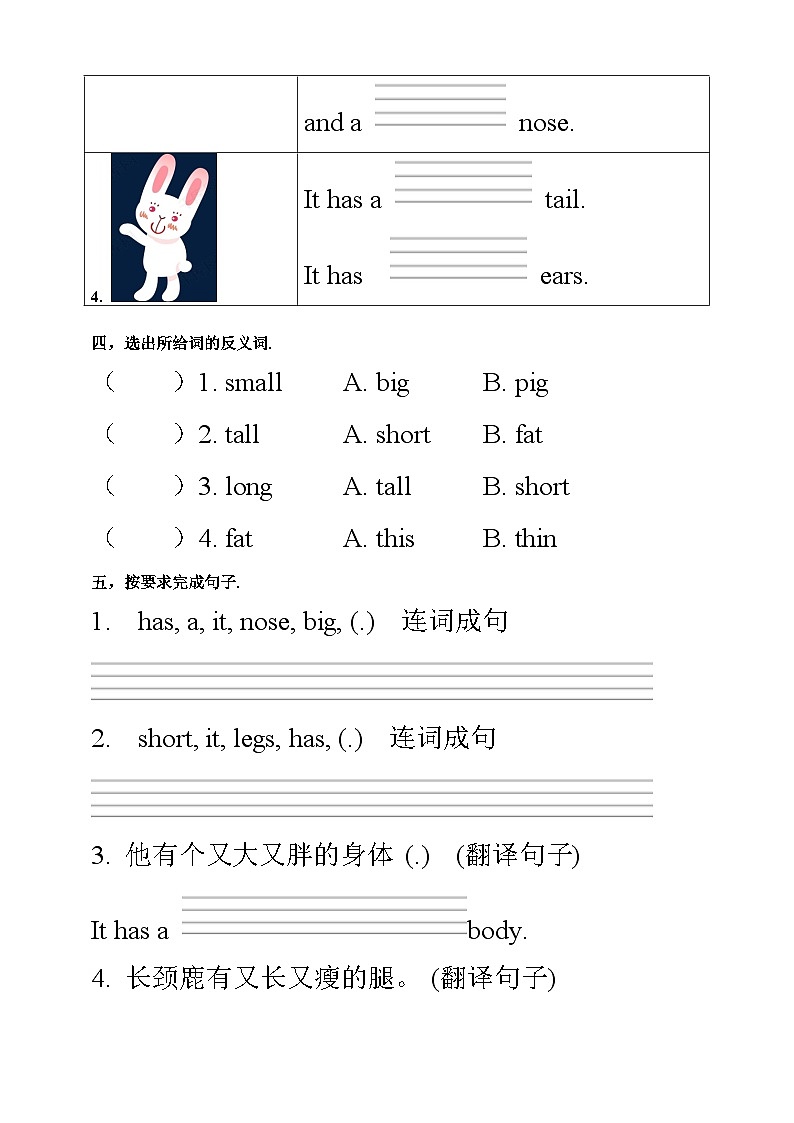 部编版PEP三年级下册 Unit 3 At the zoo PB let's learn 课件+教案+练习+动画素材03