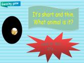 部编版PEP三年级下册 Unit 3 At the zoo PB let's learn 课件+教案+练习+动画素材