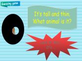 部编版PEP三年级下册 Unit 3 At the zoo PB let's learn 课件+教案+练习+动画素材