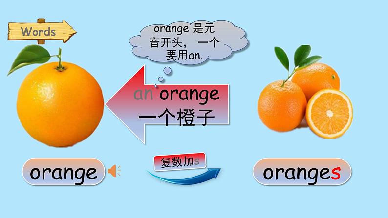 PEP三年级下册Unit 5 Do you like pears 复习课件第6页