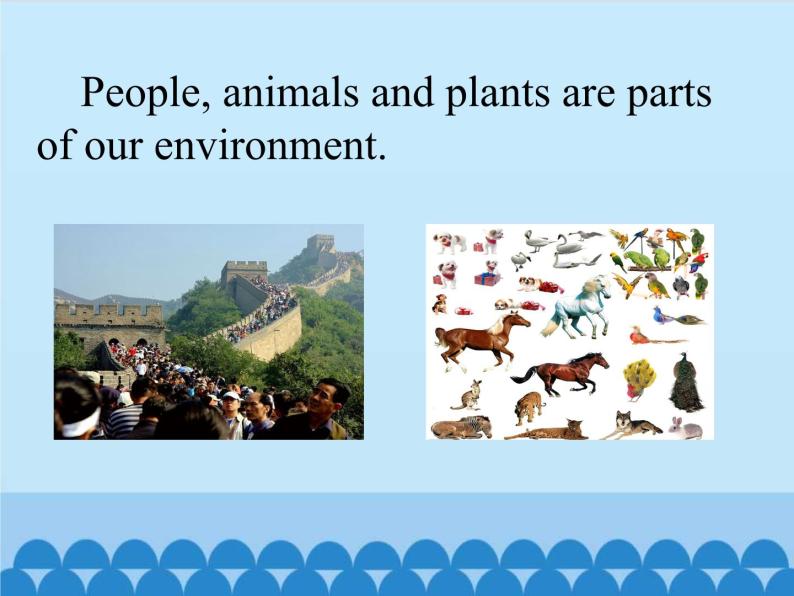 清华大学版小学英语五年级下册 UNIT 3 The Environment and Us  lesson 15   课件06