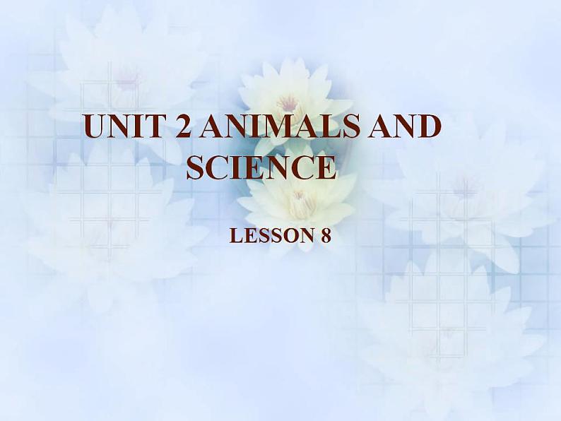 清华大学版小学英语六年级上册  UNIT 2 ANIMALS AND SCIENCE Lesson 8   课件01