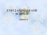 清华大学版小学英语六年级上册  UNIT 2 ANIMALS AND SCIENCE Lesson 8   课件