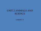 清华大学版小学英语六年级上册  UNIT 2 ANIMALS AND SCIENCE Lesson 11   课件