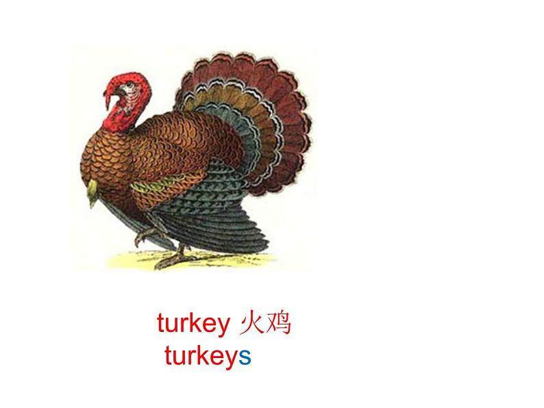 清华大学版小学英语六年级上册  UNIT 3 INTERESTING HOLIDAYS Lesson 16   课件06