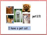 川教版英语四上 Unit3 Lesson5《My pet dog》课件+教案+练习+素材