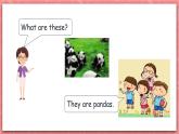 川教版英语四上 Unit4 Lesson3《Talking about animals》课件+教案+练习+素材