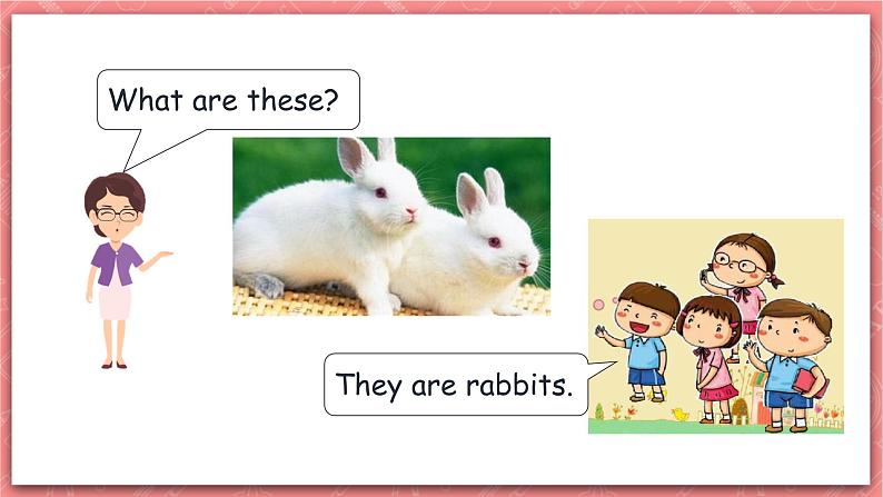 川教版英语四上 Unit4 Lesson3《Talking about animals》课件+教案+练习+素材05