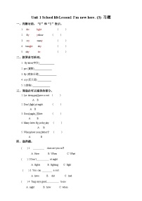 川教版六年级上册Lesson 1 I'm new here精品测试题