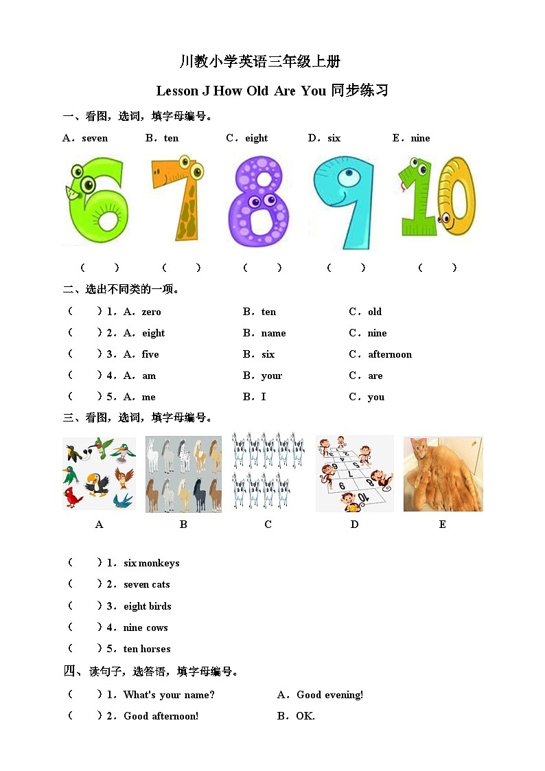川教版英语三上 Lesson J《How Old Are You》练习第1页