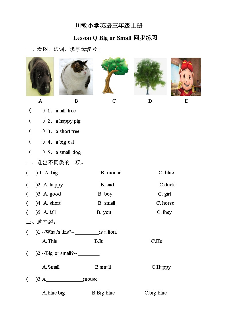 川教版英语三上 Lesson Q《Big or Small》练习第1页