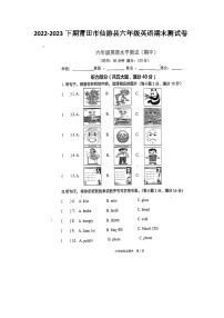 福建省莆田市仙游县2022-2023学年六年级下学期期末英语试题