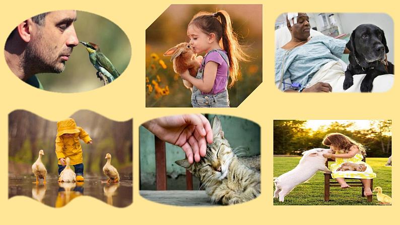 Unit 4 We love animals Part A  课件 人教版英语三上第2页