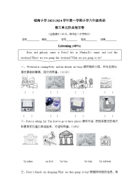 广东省佛山市南海区南海市大沥城南小学2023-2024学年六年级上学期11月月考英语试题