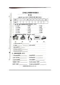 甘肃省庆阳市宁县太昌乡小学2023-2024学年五年级上学期11月期中英语试题