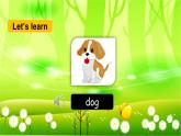 人教版(PEP)英语三年级上册Unit 4 We love animalsPartA(Let’s learn & Let’s chant)课件