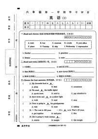 安徽省宿州市2023-2024学年六年级上学期期中英语试卷