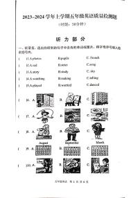 山东省泰安市东平县2023-2024学年五年级上学期11月期中英语试题