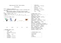 新疆维吾尔自治区喀什地区巴楚县2023-2024学年三年级上学期11月期中英语试题