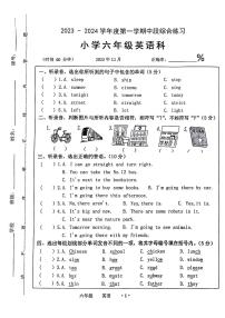 广东省梅州市大埔县2023-2024学年六年级上学期11月期中英语试题