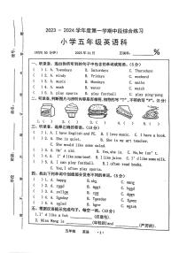 广东省梅州市大埔县2023-2024学年五年级上学期11月期中英语试题