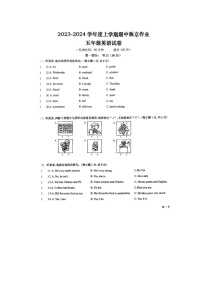 湖北省黄石市2023-2024学年五年级上学期期中英语试卷