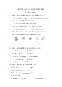 河南省开封市尉氏县2023-2024学年六年级上学期11月期中英语试题