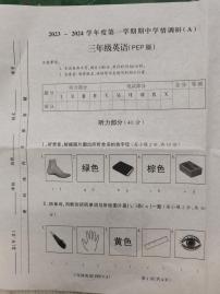 山西省大同市平城区第六小学校2023-2024学年三年级上学期11月期中英语试题